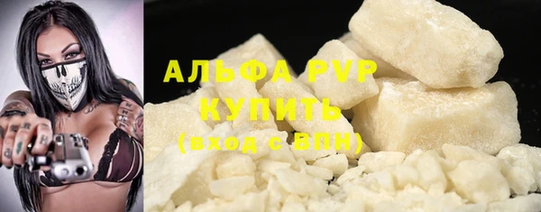 стаф Кинешма