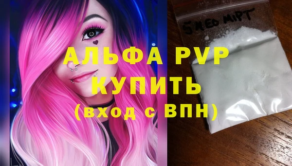 стаф Кинешма