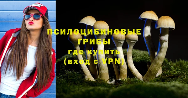 прущий лед Киреевск