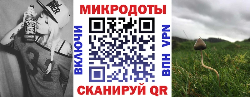 Купить закладки  Заозёрск  Псилоцибиновые грибы Magic Shrooms 